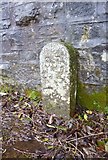 SX4874 : Old Boundary Marker on Mount Tavy Road by Alan Rosevear