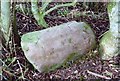 Old Milestone near Georgefield, Coldstream Parish