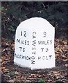 Old Milestone by the B1149, Bluestone Plantation, Cawston Parish