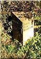 Old Milepost by the A51, Sandonroad Farm, Weston Parish