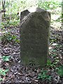 Old Milestone by the A286, Witley Common, Witley Parish