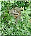 Old Milestone by the A352, Portway, Winfrith Newburgh Parish