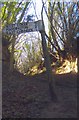 Old Direction Sign - Signpost by Stump Stone, East Chinnock Parish