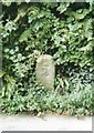 Old Milestone by the B3254, East Petherwin