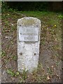 Old Milestone by the B3049, Stockbridge Road, Weeke, Winchester