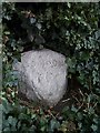 Old Milestone by the B181, Palmers Hill, Epping