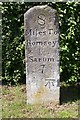 Old Milestone by the A27, Brickworth Road, Whiteparish