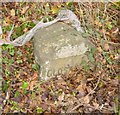 Old Milestone by the A48, north of Newnham, Forest of Dean