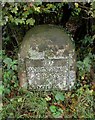 Old Milestone by Kerswell Green, Malvern Hills