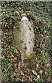 Old Guide Stone by Y-junction to Great Haye, Lamerton