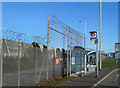 Wire above the Bus Stop