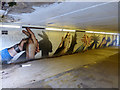 NS5866 : Garscube Road pedestrian underpass by Thomas Nugent