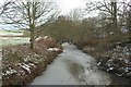 The River Lyne, south of Ellington