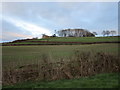 View towards Grange Farm