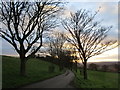 Avenue to Denaby Lane