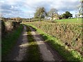 Road to Munsley church