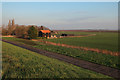 Four Balls Farm by Ouse Washes