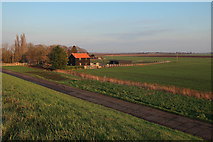 TL5190 : Four Balls Farm by Ouse Washes by Hugh Venables