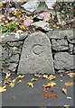 Old Bridge Marker by Mount Pleasant, Chudleigh