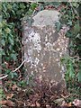 Old Milestone by the B4312, Llanstephan Road, Carmarthen