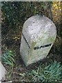 Old Boundary Marker by the A666, south west of Langho