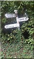 Old Direction Sign - Signpost in East Nynehead