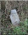 Old Milestone by the A3072, Hollacombe Parish