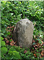 Old Guide Stone by the B3213, Exeter Road, Cross in Hand