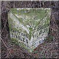 Old Milestone by the A586, Garstang Road, Upper Rawcliffe