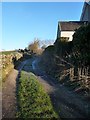 Track heading east from Salkeld Road