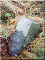 Old Milestone by the A823, Muiredge