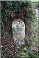 Old Milestone near Duckham, Chawleigh parish