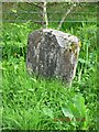 NR7685 : Old Milestone by Loch Sween, Ashfield by Milestone Society