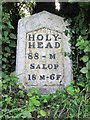 Old Milestone by the A5069, Oldport, Oswestry