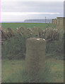 Old Milestone by the A836, Castletown, Thurso parish