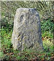 Old Boundary Marker by Grunters Lane, Harescombe parish