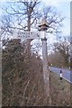 Old Direction Sign - Signpost by Berkley Street, Berkley