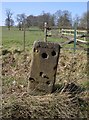 Old Milestone by the A32, East Tisted