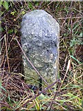 NX2157 : Old Milestone by the A747, Old Luce parish by Milestone Society