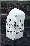 TG1128 : Old Milestone by the B1149, Corpusty parish by CW Haines
