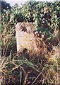 Old Milestone by the A164, Driffield Road, Molescroft parish