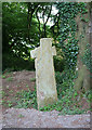 SX4189 : Old Wayside Cross - moved to Broadwoodwidger churchyard by Alan Rosevear