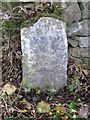 Old Milestone by the B4579, northwest of Selattyn