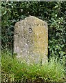 Old Milestone by Old Southampton Road, Cadnam, Bramshaw parish