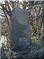 Old Milestone by the A1017, The Causeway, Ridgewell parish