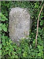 Old Milestone by the A484, south of Bronwydd