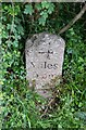 Old Milestone by Totnes Road, Marldon parish