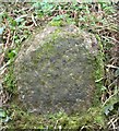 Old Milestone by Long Lane, Kilmington