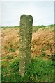 SX0987 : Old Guide Stone north of Condolden Barrow, Trevalga parish by Milestone Society