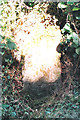 Old Milestone by the B4579, Craignant, Glyntraian parish